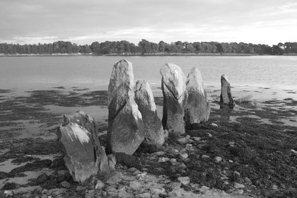 13_03329 Golfe du Morbihan