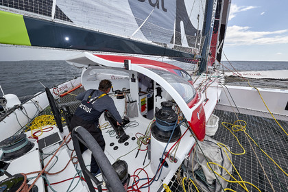 THM-17_075994_ACTUAL ULTIM