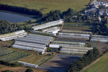 16_42052-GOLFE-du-MORBIHAN