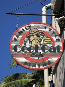 Diving in Maui HAWAII - USA . Jan 2007.