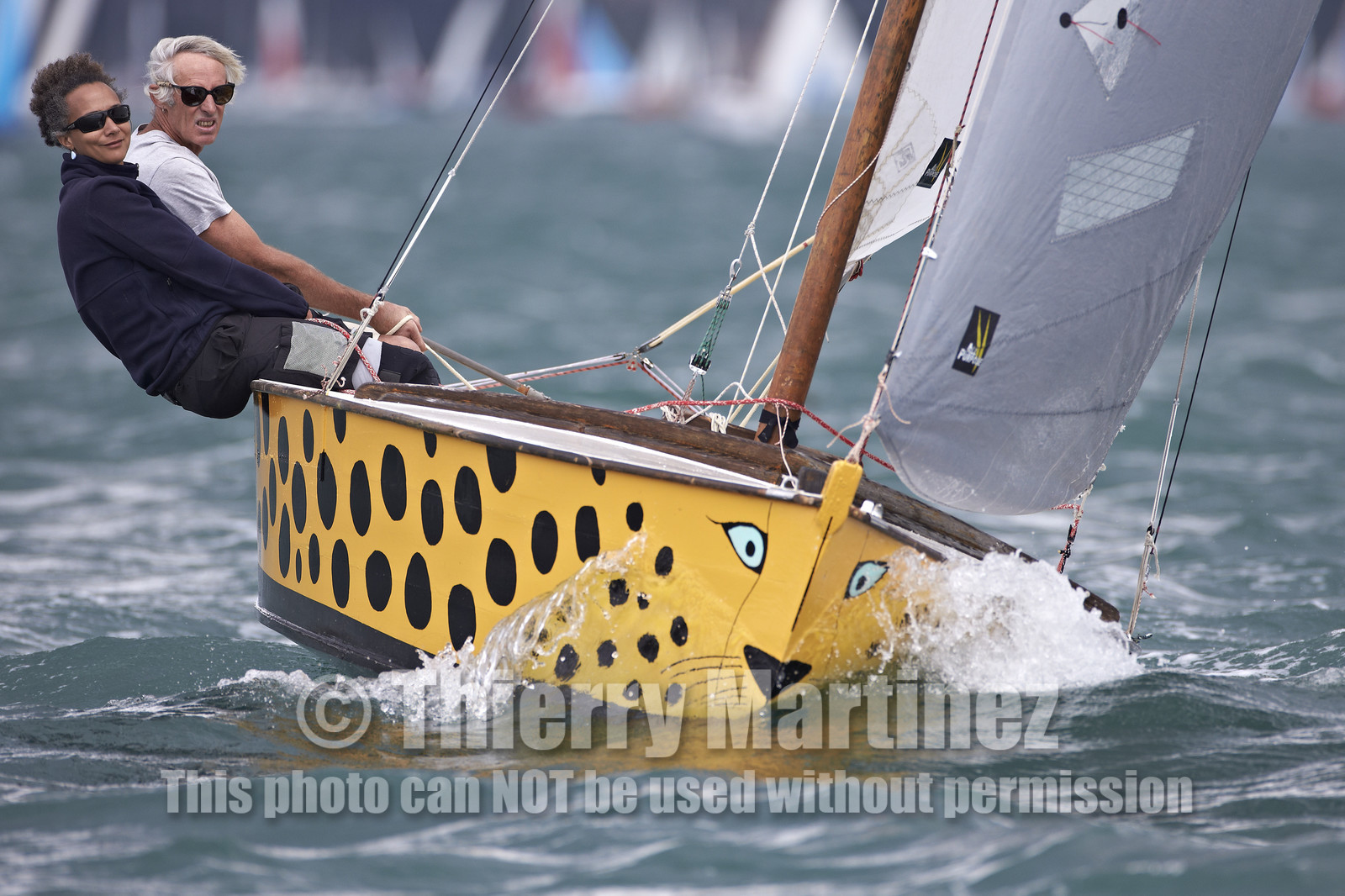 FESTIVAL DE LA VOILE 2014 -Ile aux Moines (Golfe du Morbihan)