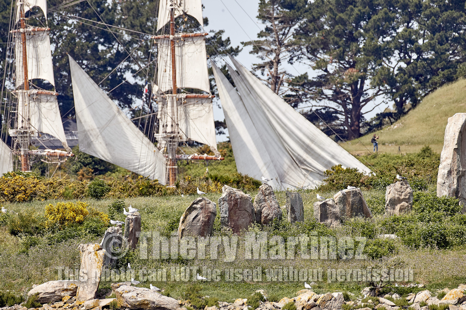 THM-17_010886-SEMAINE du Golfe