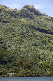 15_023352  ©ThMartinez Sea&Co.  HUAHINE - ILES SOUS LE VENT. POLYNESIE FRANCAISE . 31 January 2015. .