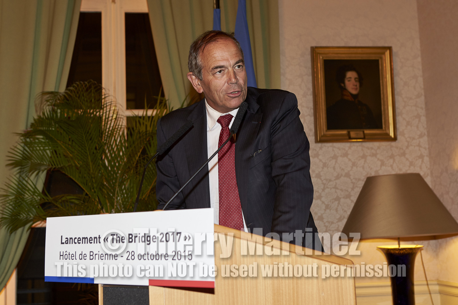 THM-15_89084_The Bridge