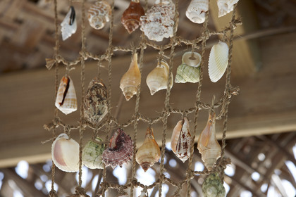 15_027788  ©ThMartinez Sea&Co.  FAKARAVA - ARCHIPEL des TUAMOTU. POLYNESIE FRANCAISE .  14 Février 2015. .