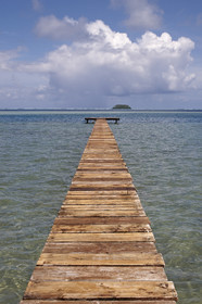 15_024026  ©ThMartinez Sea&Co.  RAIATEA - ILES SOUS LE VENT. POLYNESIE FRANCAISE .  2 Février 2015. ..