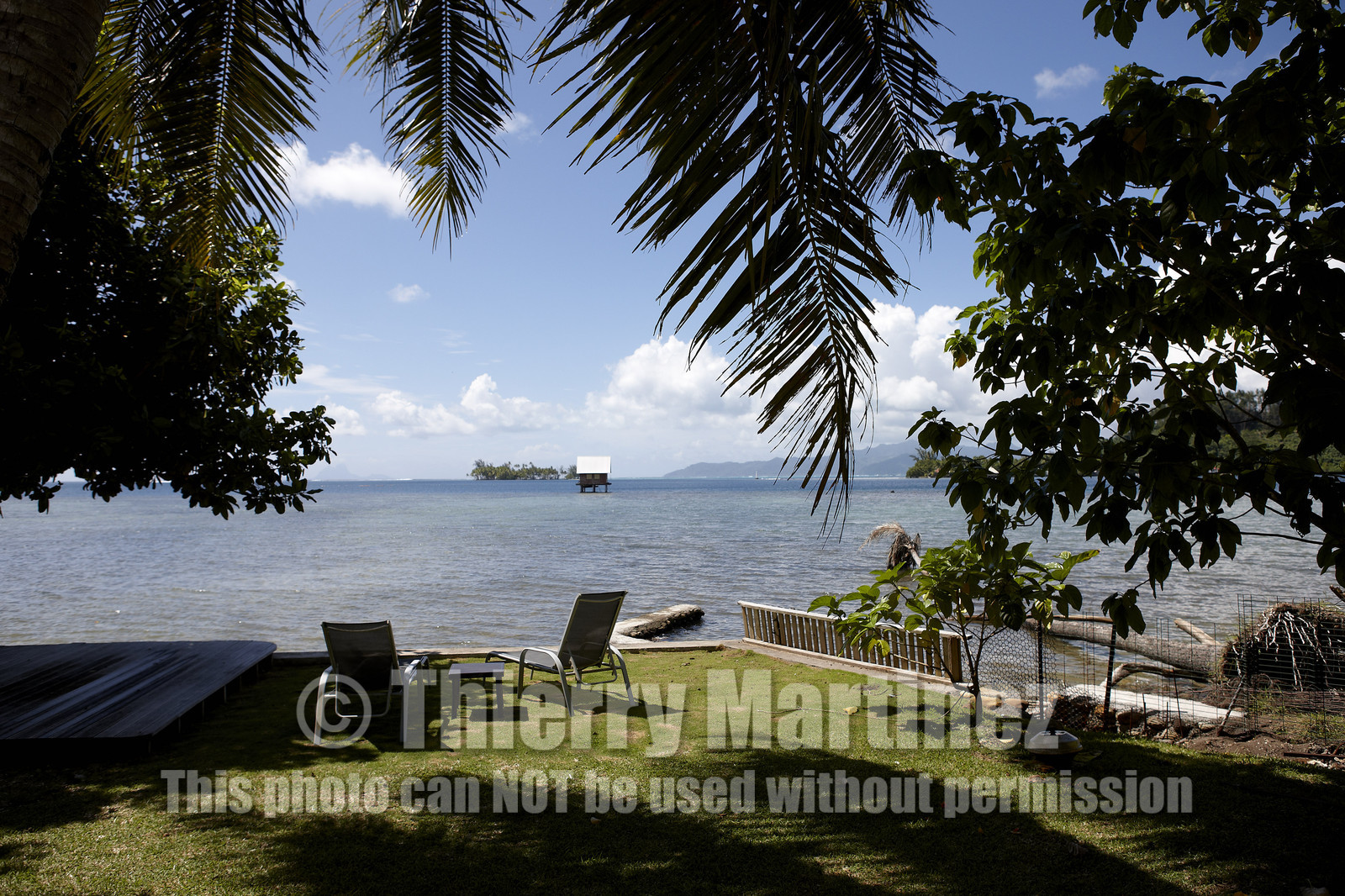 15_025032  ©ThMartinez Sea&Co.  RAIATEA - ILES SOUS LE VENT. POLYNESIE FRANCAISE .  2 Février 2015. ..