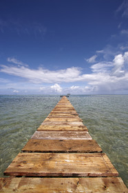 15_024346  ©ThMartinez Sea&Co.  RAIATEA - ILES SOUS LE VENT. POLYNESIE FRANCAISE .  2 Février 2015. ..Ponton