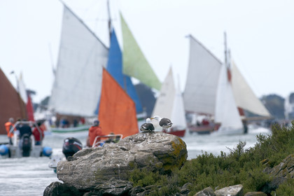 THM-15_48021-SEMAINE du Golfe