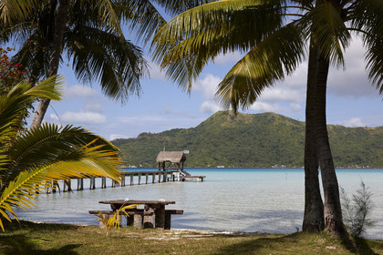 15_025936  ©ThMartinez Sea&Co.  BORA BORA - ILES SOUS LE VENT. POLYNESIE FRANCAISE .  6 Février 2015. . Bora Bora depuis Eden Beach Bora Bora..