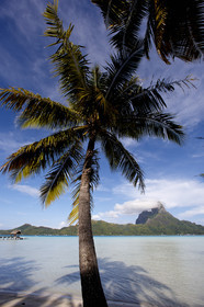15_025865  ©ThMartinez Sea&Co.  BORA BORA - ILES SOUS LE VENT. POLYNESIE FRANCAISE .  6 Février 2015. . Bora Bora depuis Eden Beach Bora Bora..