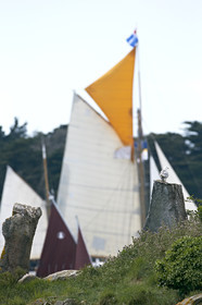 THM-15_48055-SEMAINE du Golfe