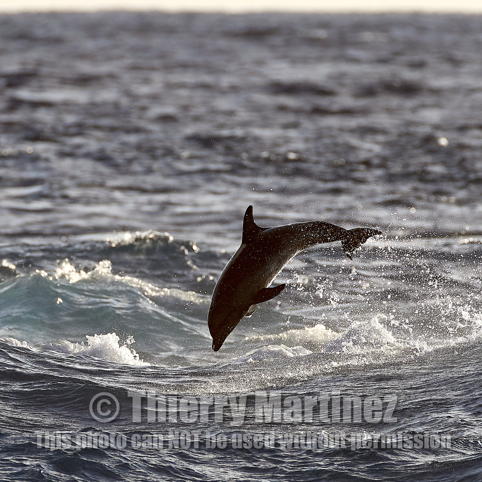 THM-18_039004_RANGIROA