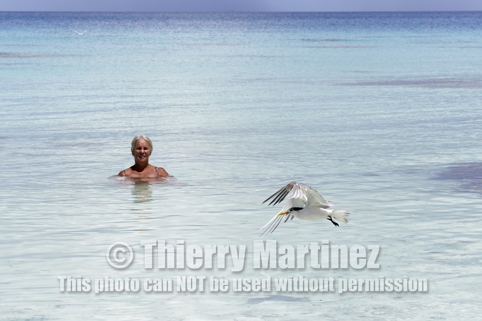 THM-18_041055_FAKARAVA