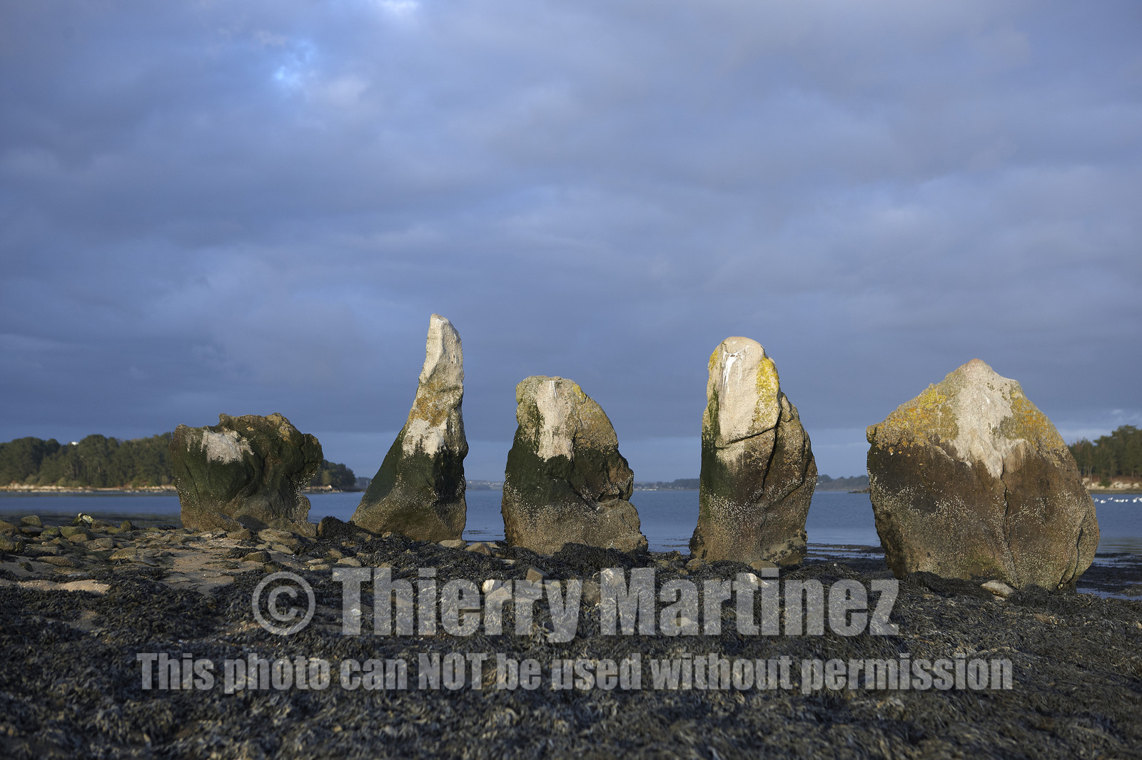 13_03278 Golfe du Morbihan