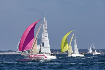 THM-17_010280-MINIenMai