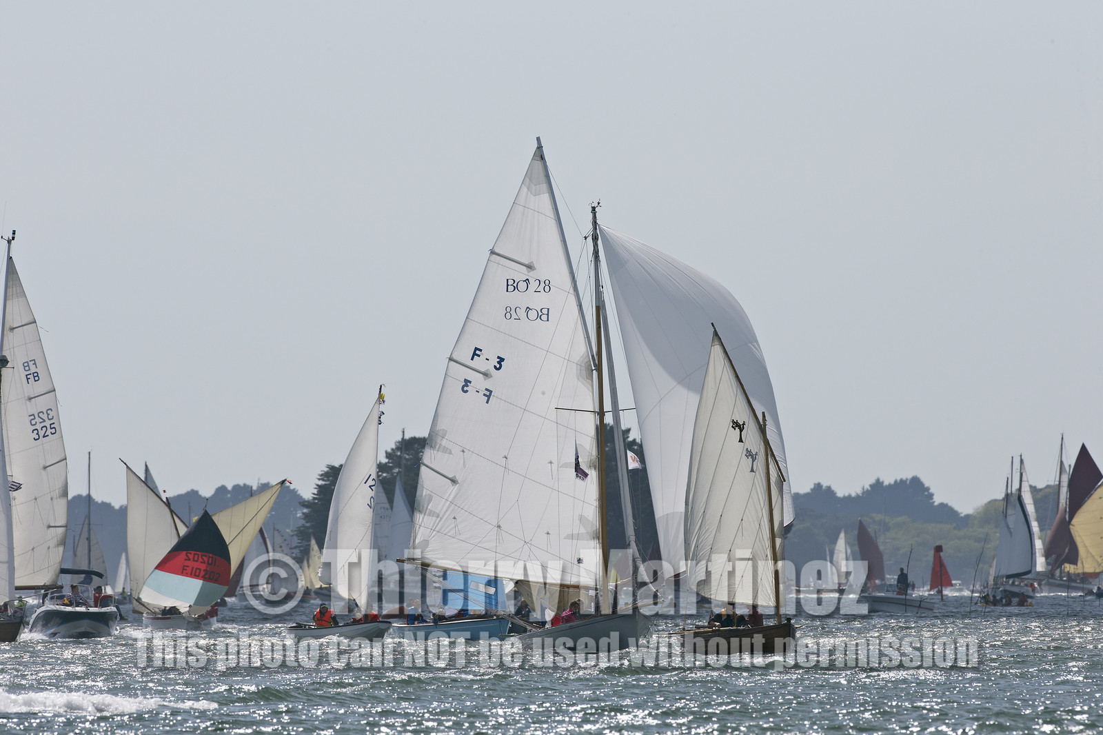 THM-15_48480-SEMAINE du Golfe