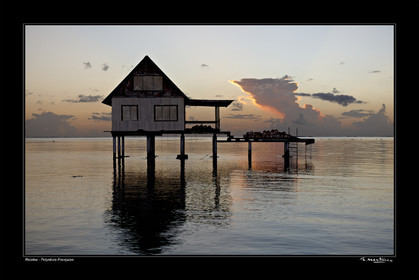 Photo disponible en tirage photo Fine Art,tirage original limités à 30 exemplaires.Chaque tirage est numéroté avec certificat d’authenticité signé.Pour choisir le format et support merci d'utiliser le caddie à coté de la photo.Formats disponibles : Tirage sur papier ( tirage seul) :  30x45 cm   40x60 cm  60x90 cm. Vous pouvez choisir le tirage avec un fond blanc ou noir , à votre convenance. Tirage sur papier contrecollé sur Dibond ( pas de bord blanc ou noir autour de l'image), avec système d'attache au dos:  30x45 cm   40x60 cm  50x75 cm  80x120cm.Tirage sur toile ( Canvas) monté sur chassis bois (pas de bord blanc ou noir autour de l'image), avec système d'attache au dos :  50x75 cm  80x120cm.Expédition ( Dans le monde entier): Colissimo (assurance) avec signature à réception. 48h pour la France métropolitaine.Il est possible de récupérer les tirages à La Galerie du Golfe (sans frais d'expèdition).Conditionnement tirages seuls: tube cylindrique renforcé + boite.