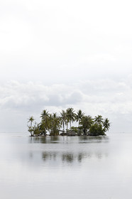15_024428  ©ThMartinez Sea&Co.  RAIATEA - ILES SOUS LE VENT. POLYNESIE FRANCAISE .  2 Février 2015. ..MOTU dans le lagon de Raiatea.