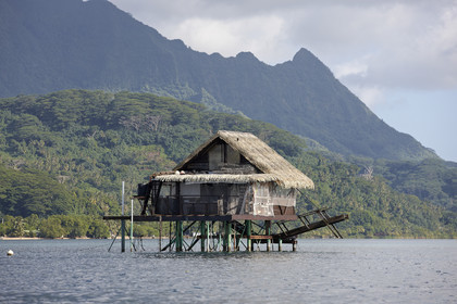 15_025106  ©ThMartinez Sea&Co.  RAIATEA - ILES SOUS LE VENT. POLYNESIE FRANCAISE .  2 Février 2015. ..FERME PERLIERE