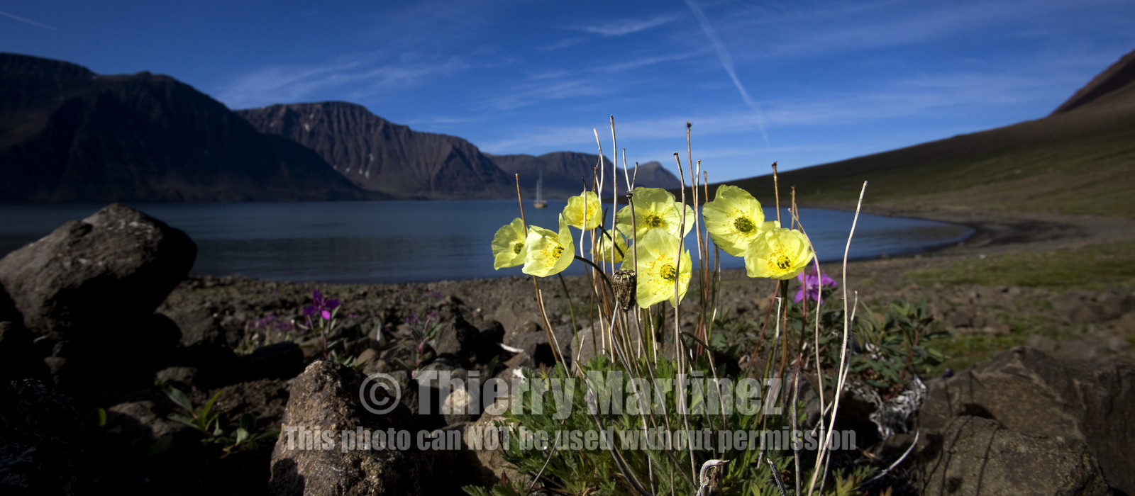 Schooner LA LOUISE sailing on west coast of Greenland.