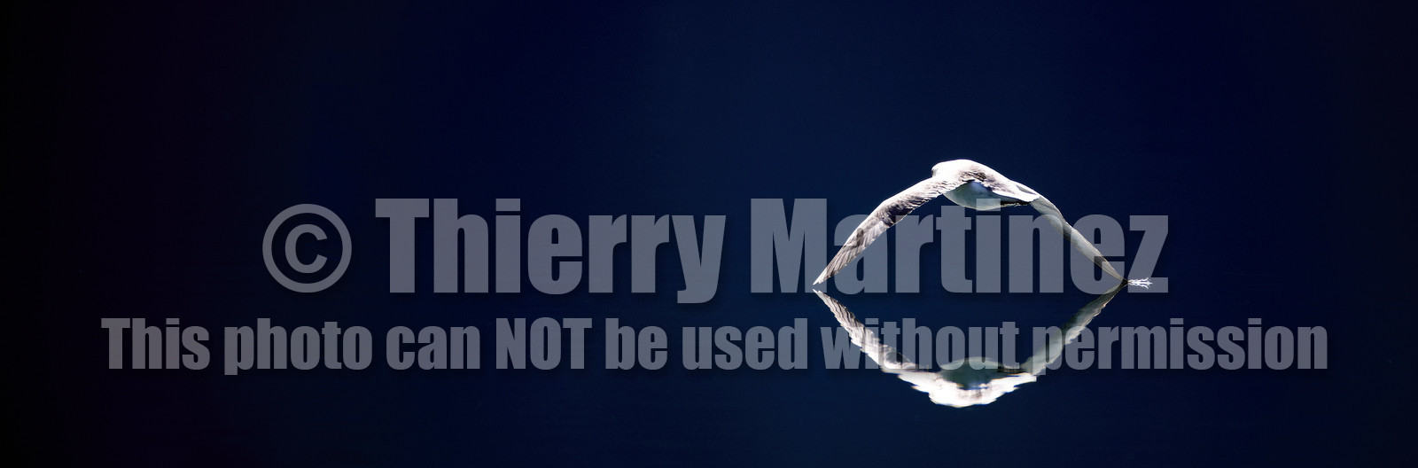 Schooner LA LOUISE sailing on west coast of Greenland.