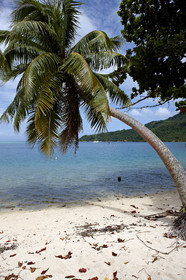 15_023252  ©ThMartinez Sea&Co.  HUAHINE - ILES SOUS LE VENT. POLYNESIE FRANCAISE . 31 January 2015. .