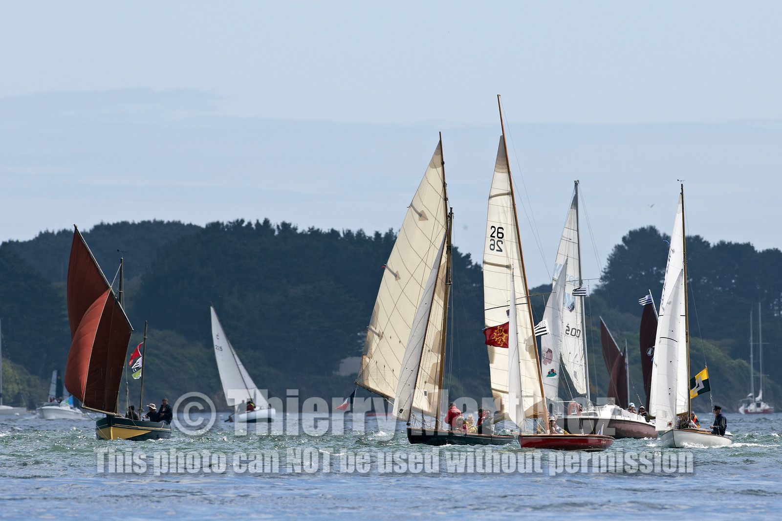 THM-15_48301-SEMAINE du Golfe