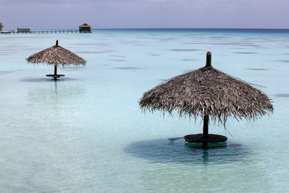 15_027707  ©ThMartinez Sea&Co.  FAKARAVA - ARCHIPEL des TUAMOTU. POLYNESIE FRANCAISE .  14 Février 2015. .