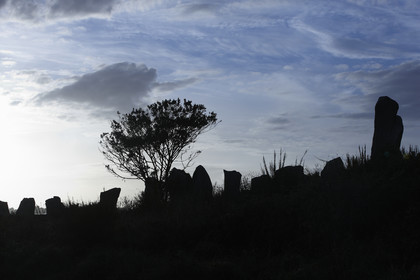 13_03276 Golfe du Morbihan