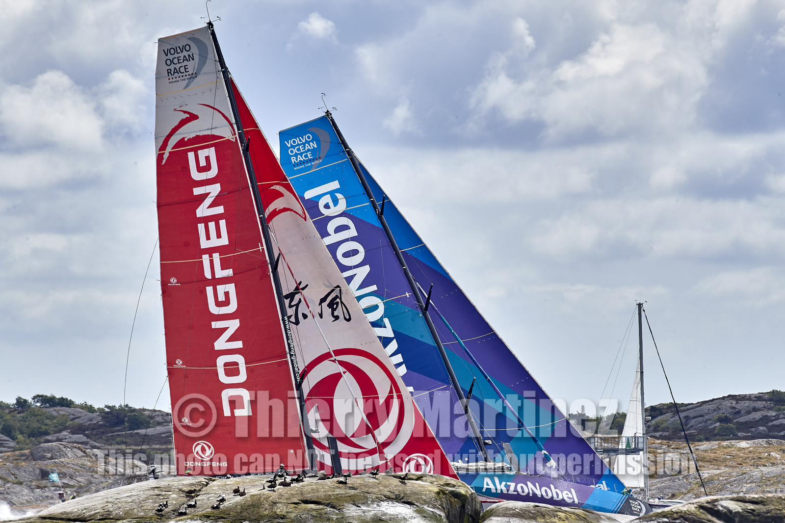 team AkzoNobel  in Volvo Ocean Race 2017-18.