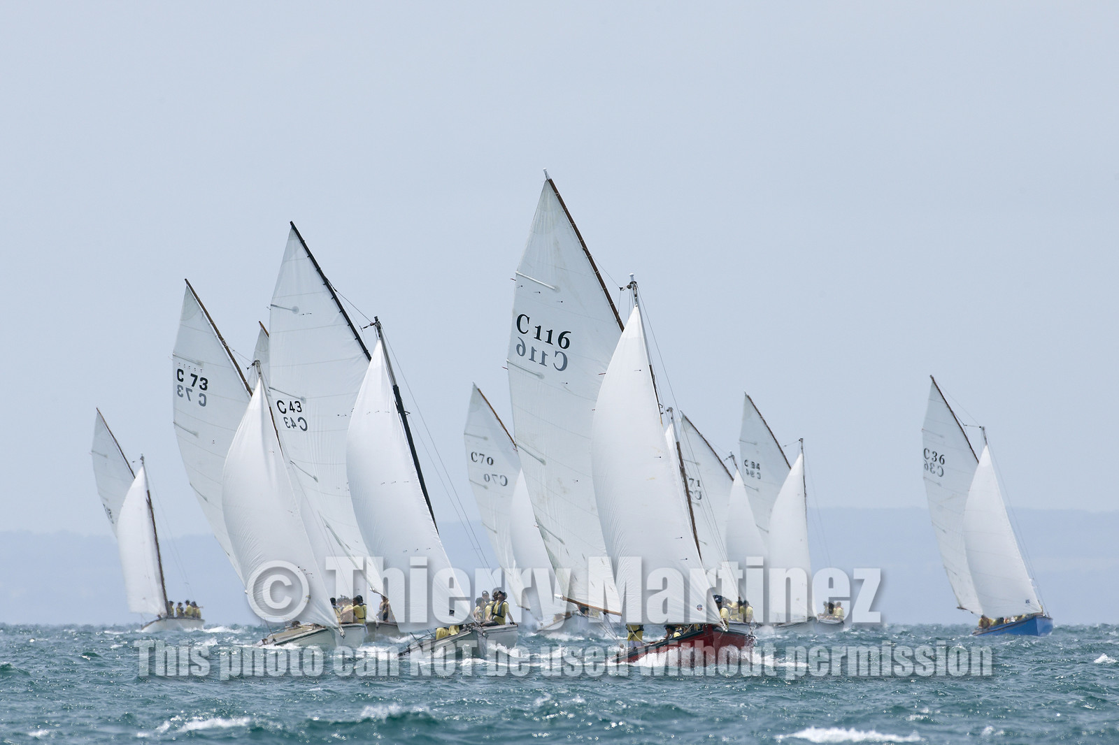 Couta Boat race in Sorrento.