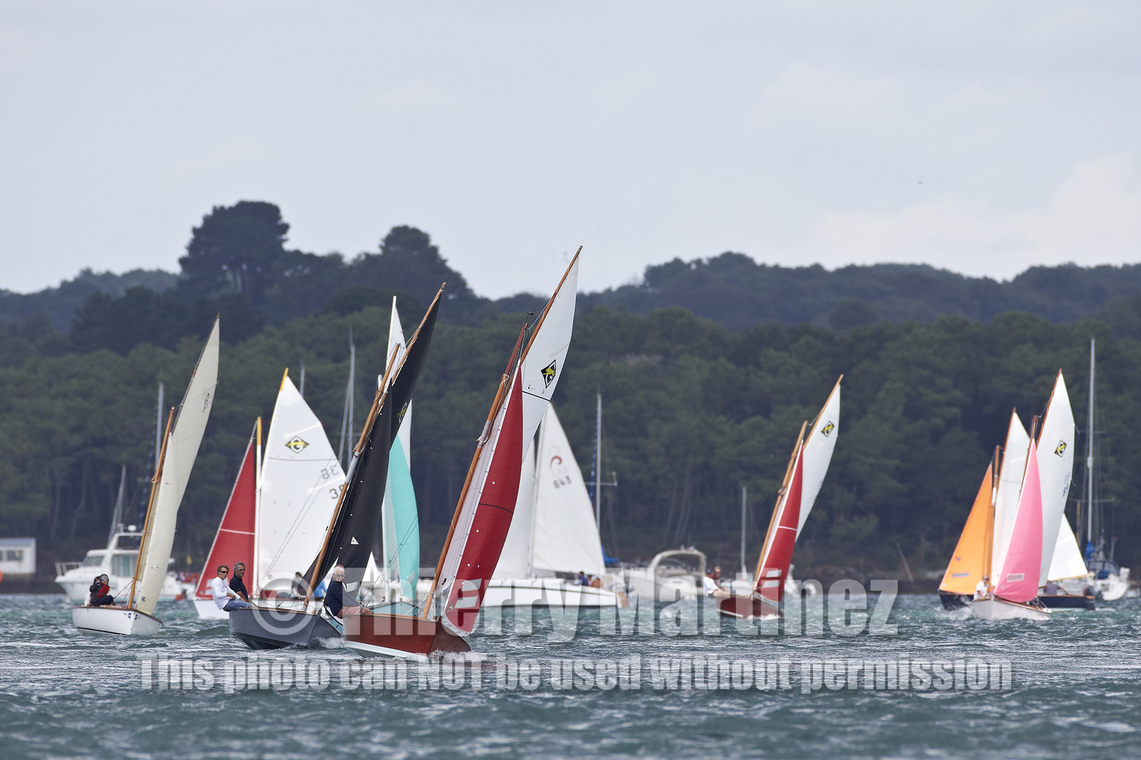 FESTIVAL DE LA VOILE 2014 -Ile aux Moines (Golfe du Morbihan)