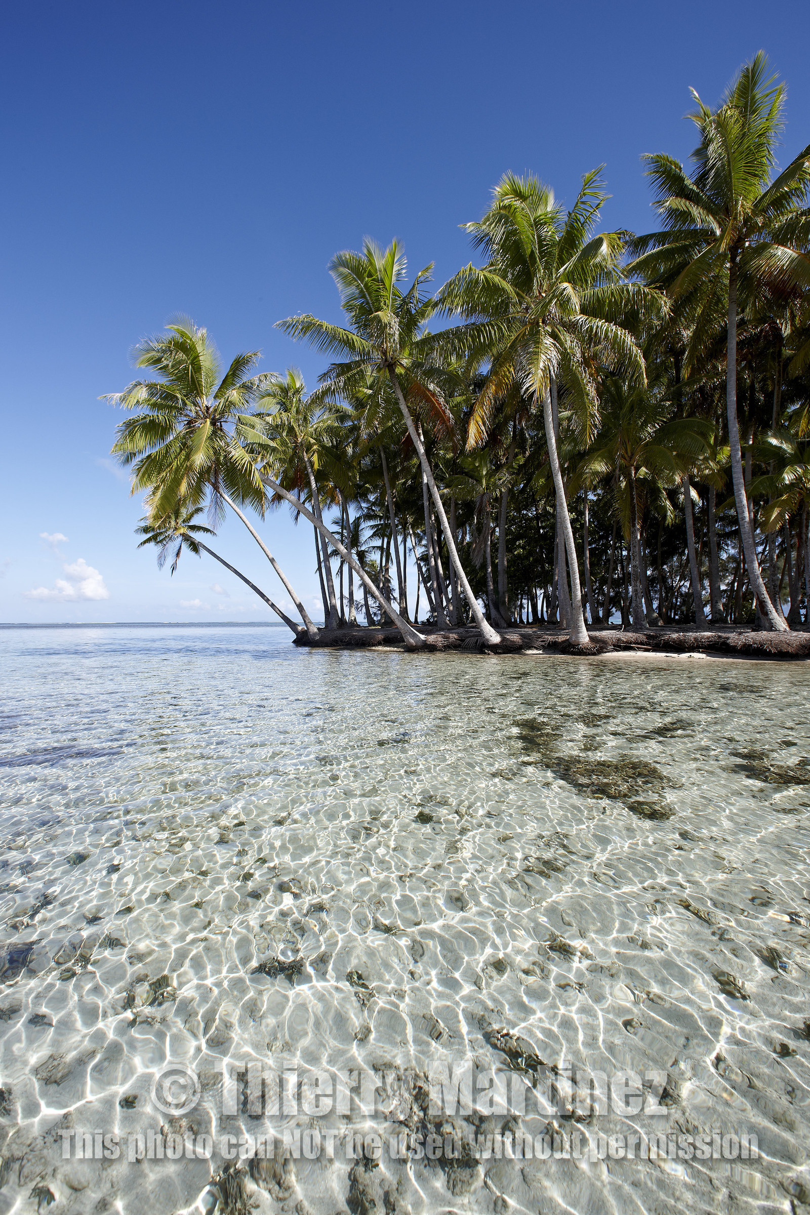 15_024857  ©ThMartinez Sea&Co.  RAIATEA - ILES SOUS LE VENT. POLYNESIE FRANCAISE .  2 Février 2015. ..MOTU dans le lagon de Raiatea.