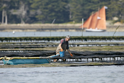 THM-15_46034-SEMAINE du Golfe