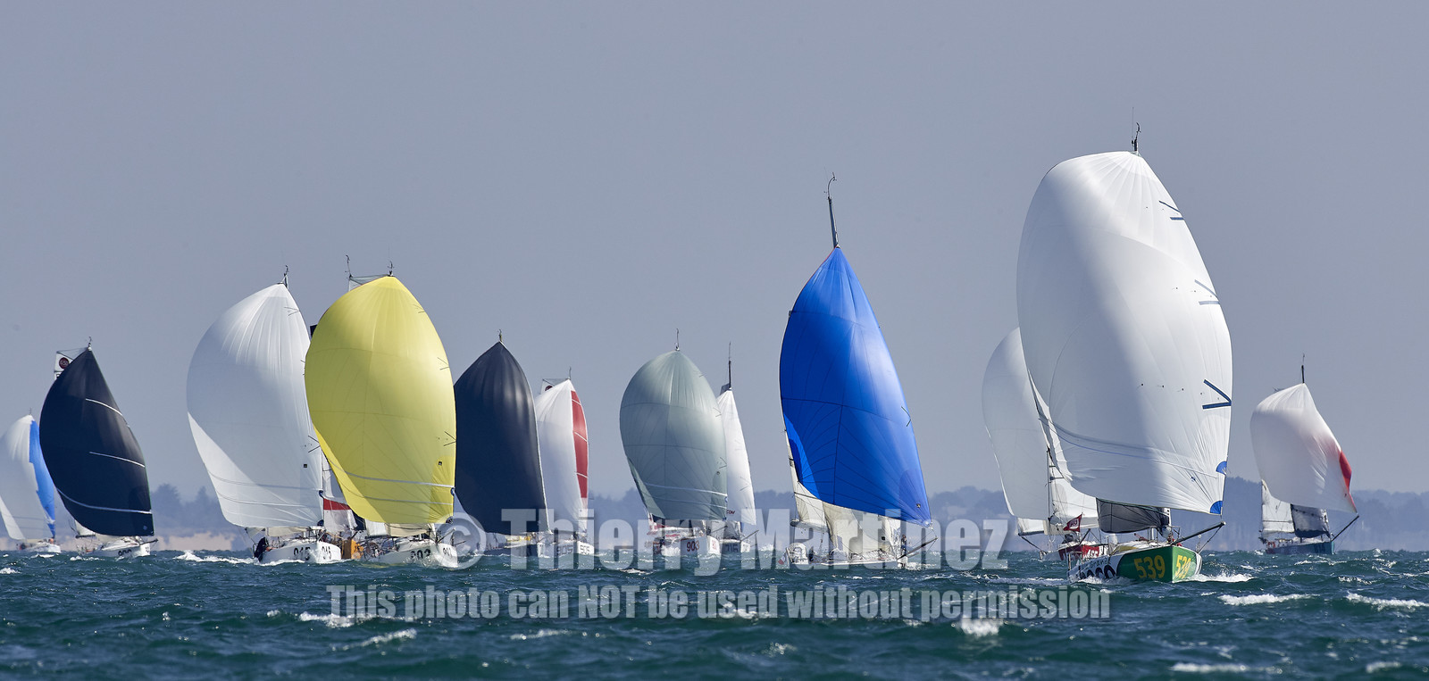 THM-17_010076-MINIenMai