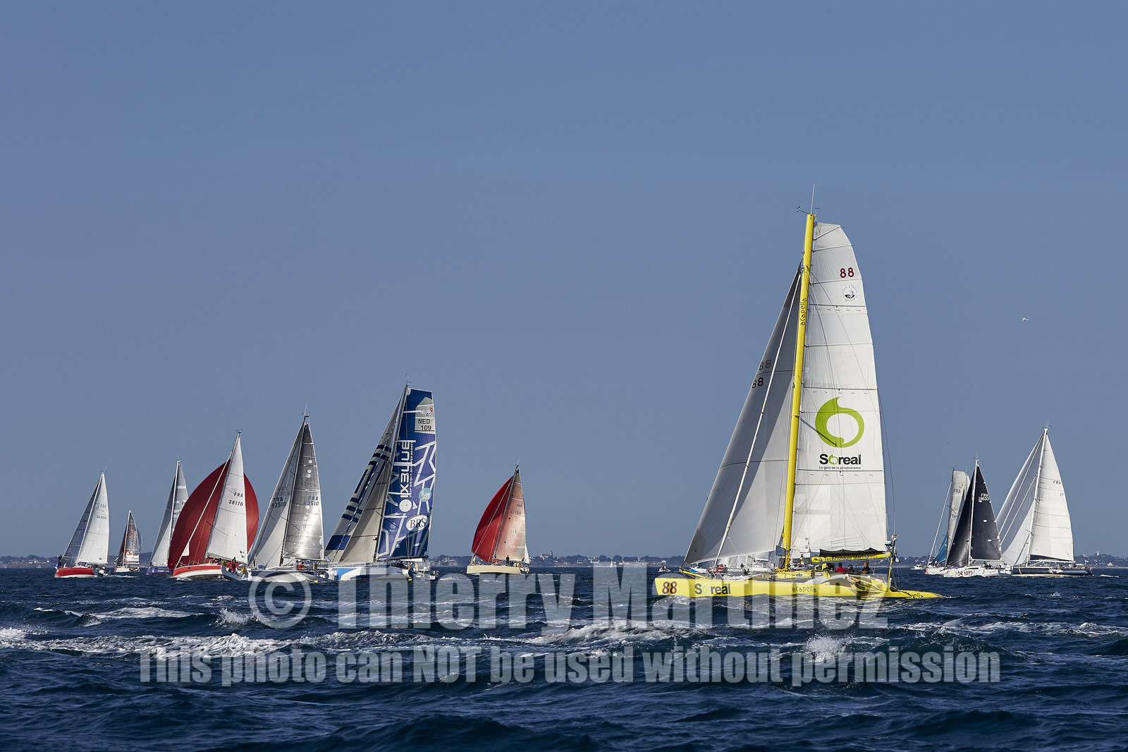 16_44133-DREAHM CUP 2016