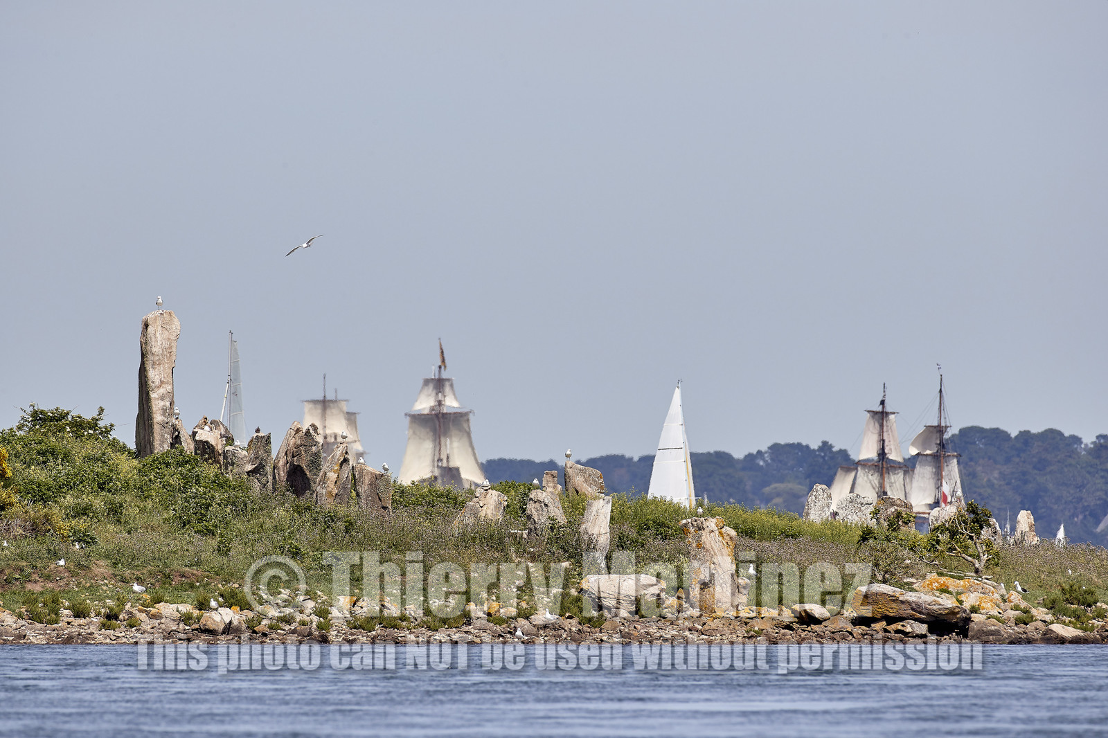 THM-17_010744-SEMAINE du Golfe