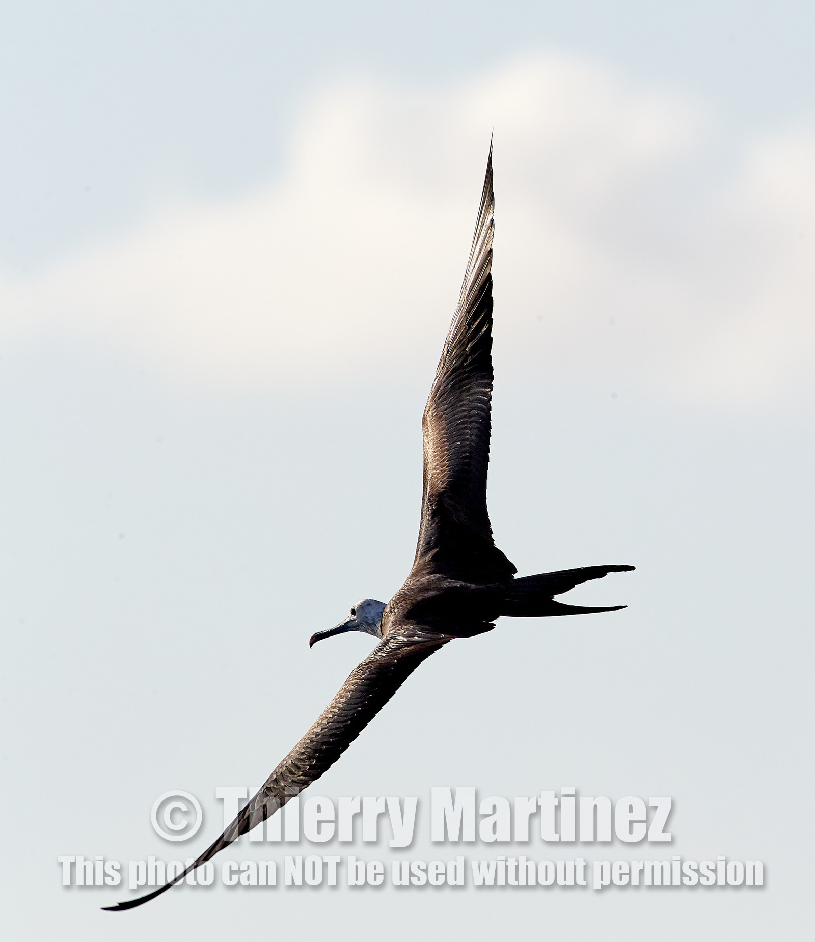 THM-18_039220_RANGIROA