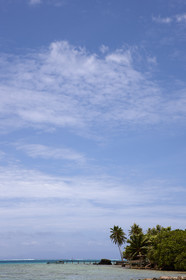 15_023300  ©ThMartinez Sea&Co.  HUAHINE - ILES SOUS LE VENT. POLYNESIE FRANCAISE . 31 January 2015. .