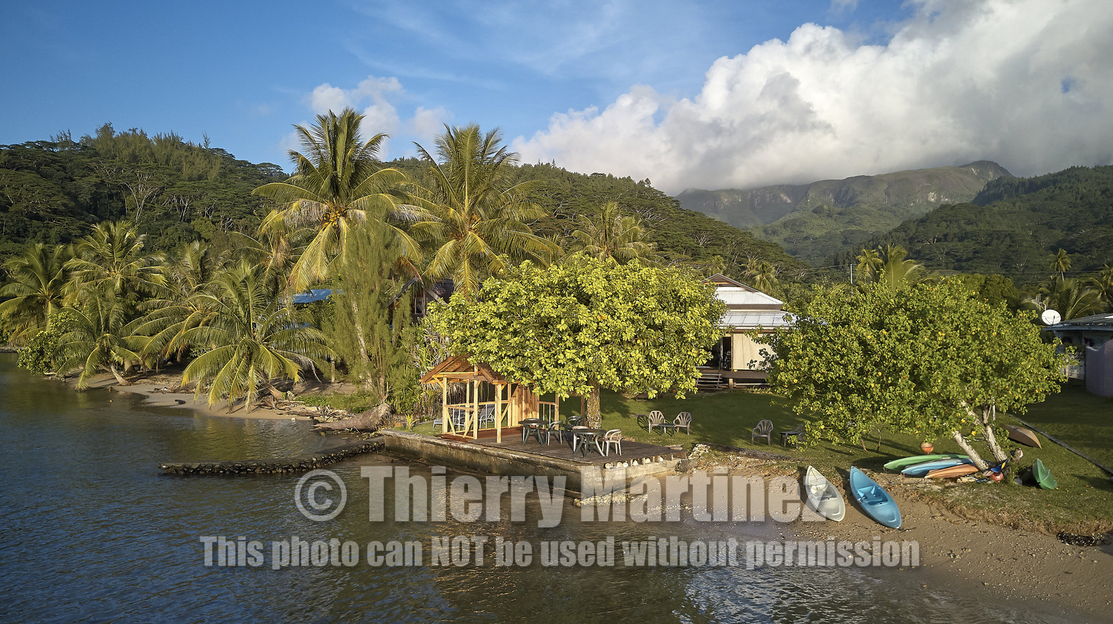 THM-18_038020_TEMEHANI