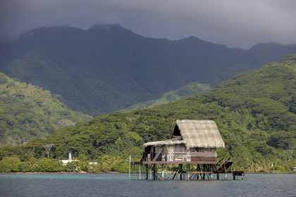 15_025126  ©ThMartinez Sea&Co.  RAIATEA - ILES SOUS LE VENT. POLYNESIE FRANCAISE .  2 Février 2015. ..FERME PERLIERE