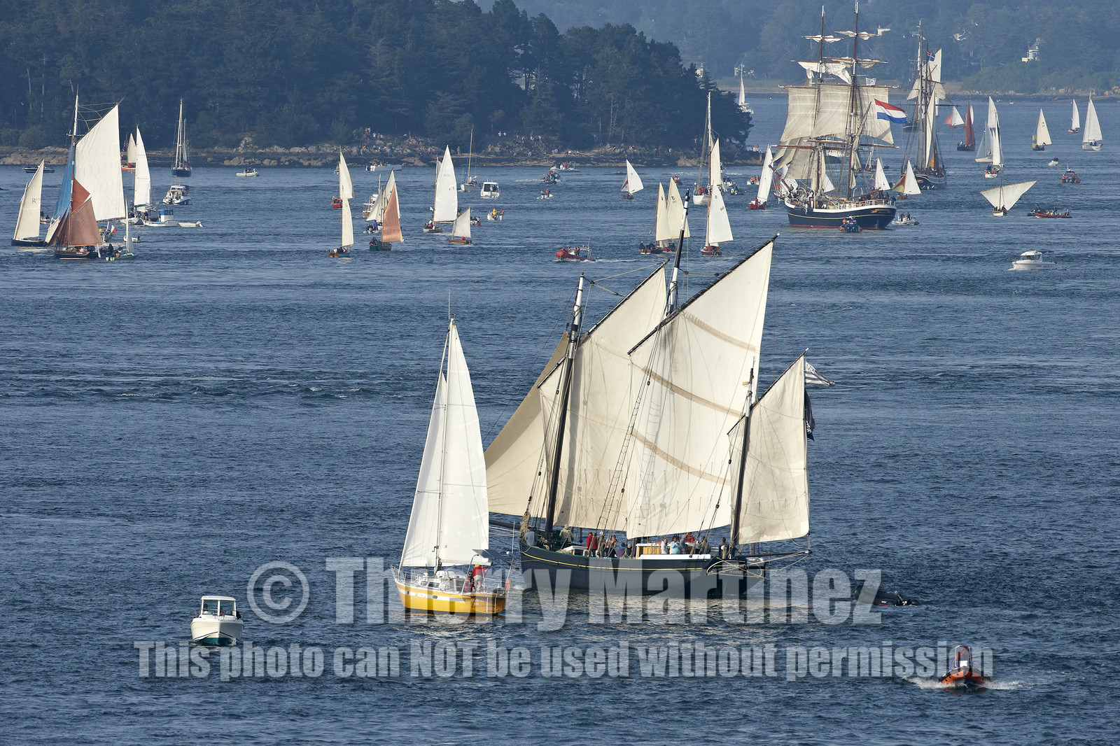 Semaine du Golfe 2015. Parade d'arrivée de la flotte.