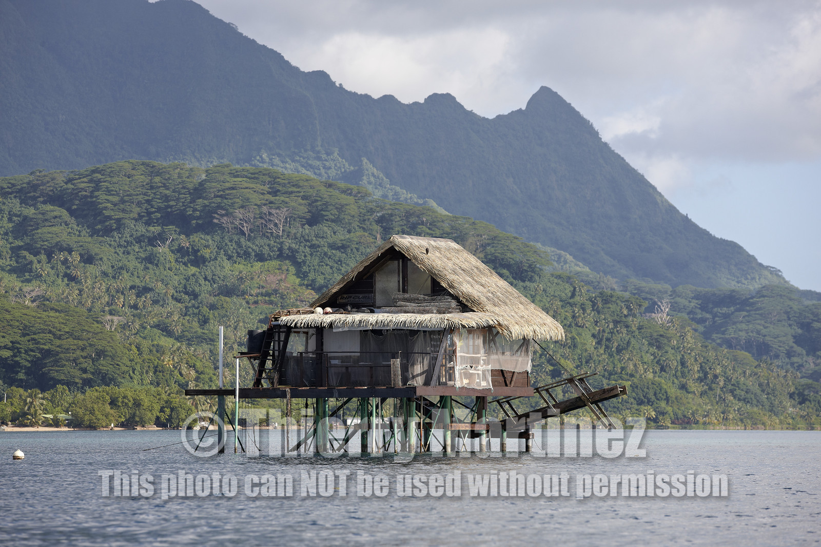 15_025106  ©ThMartinez Sea&Co.  RAIATEA - ILES SOUS LE VENT. POLYNESIE FRANCAISE .  2 Février 2015. ..FERME PERLIERE