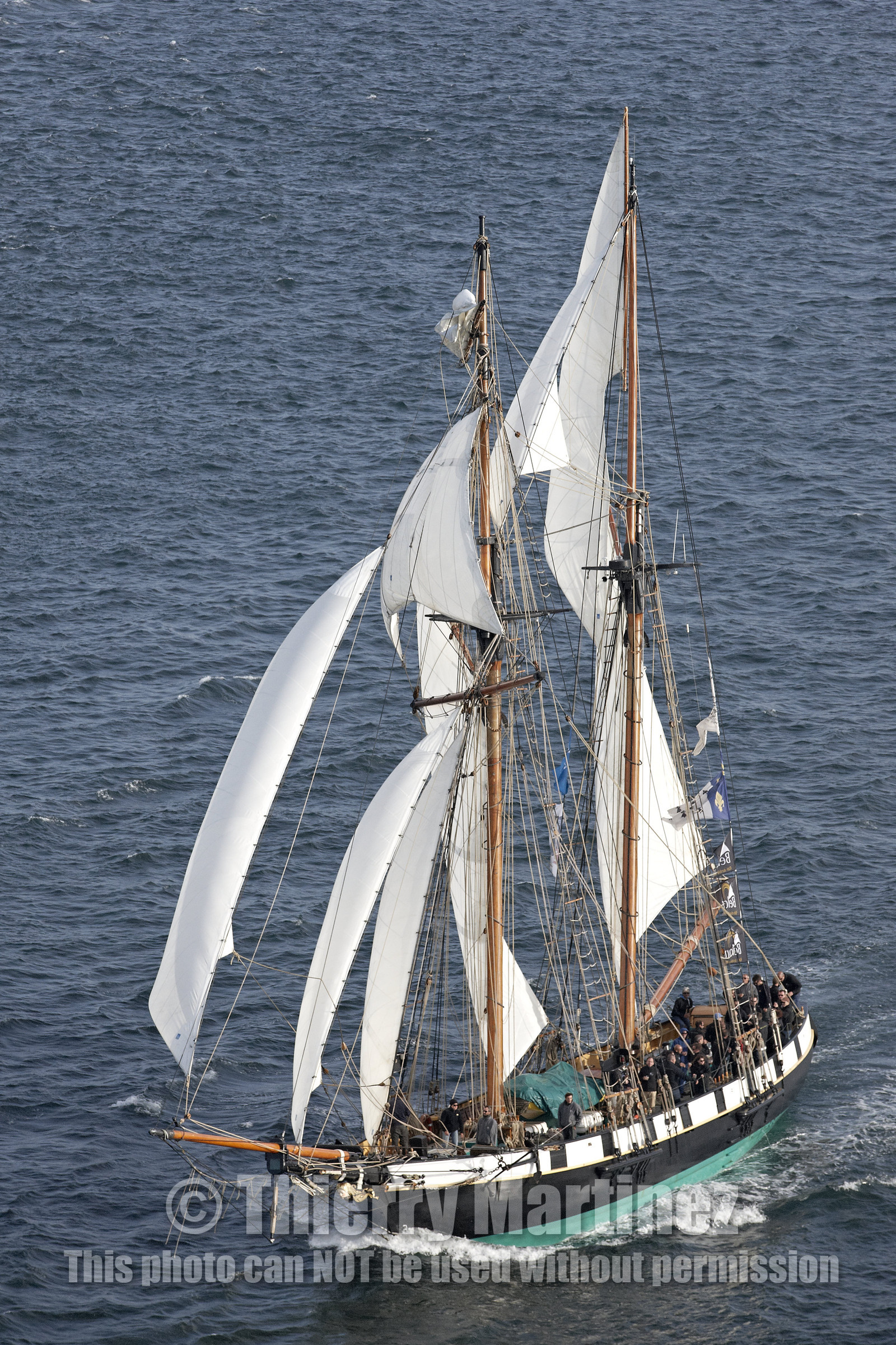 Semaine du Golfe 2015. Parade d'arrivée de la flotte.