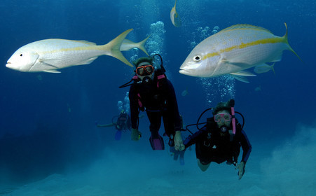 NASSAU , BAHAMAS. September 2006..