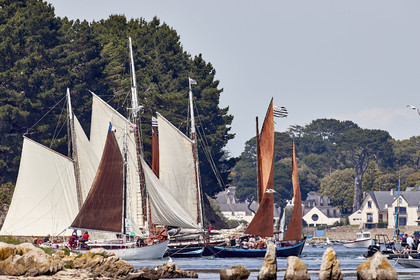 THM-17_010833-SEMAINE du Golfe