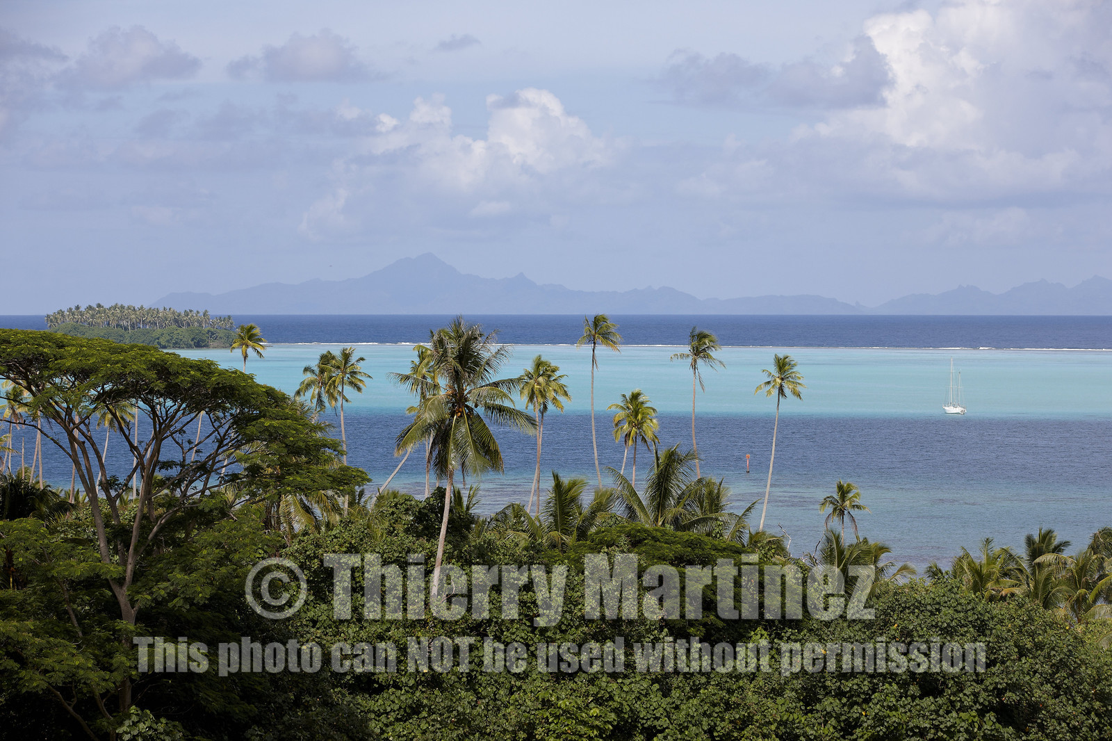 15_024399  ©ThMartinez Sea&Co.  RAIATEA - ILES SOUS LE VENT. POLYNESIE FRANCAISE .  2 Février 2015. ..