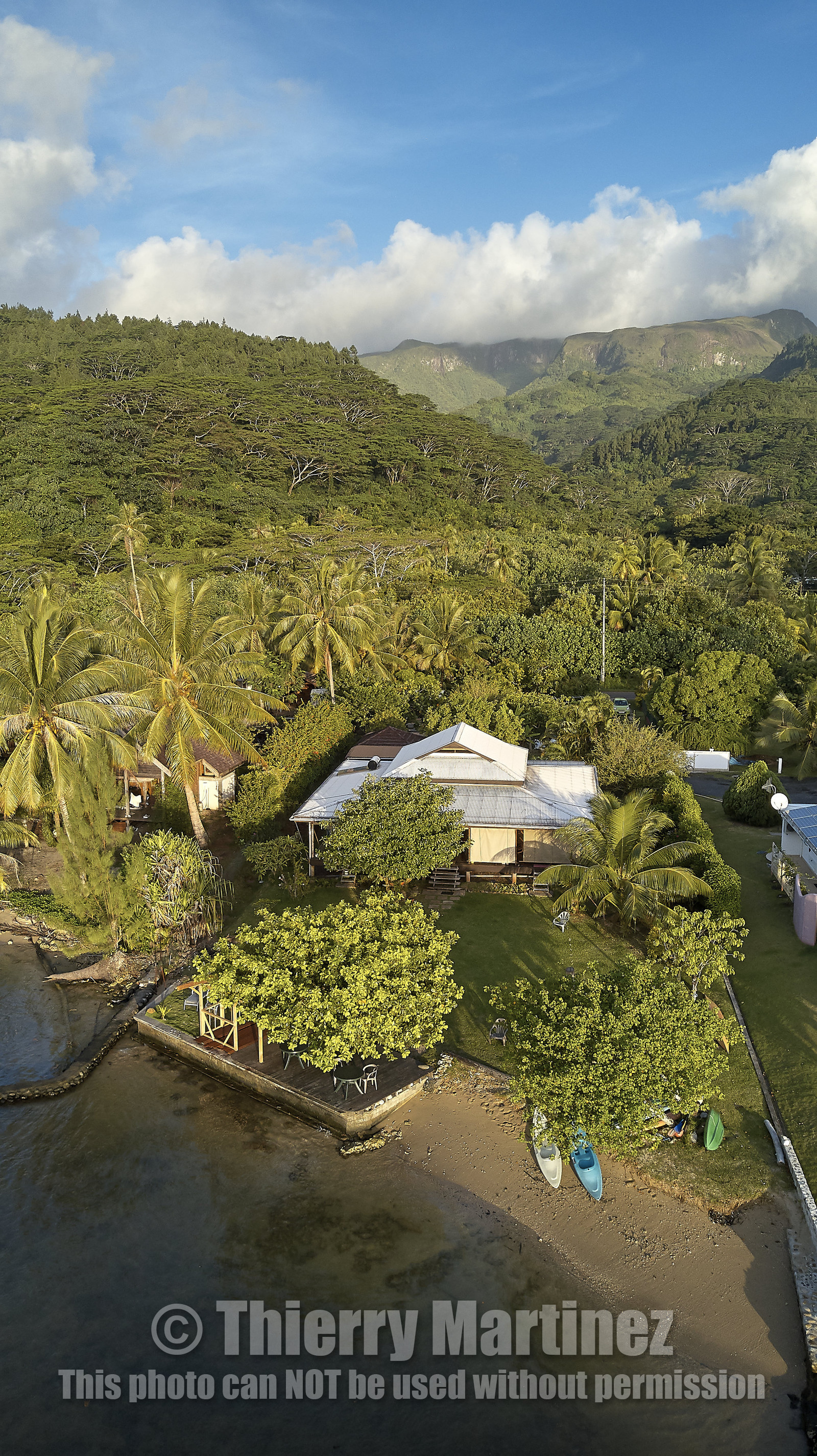 THM-18_038039_TEMEHANI