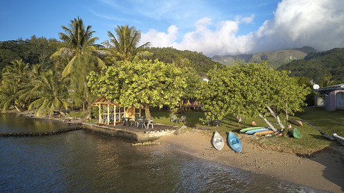 THM-18_038030_TEMEHANI